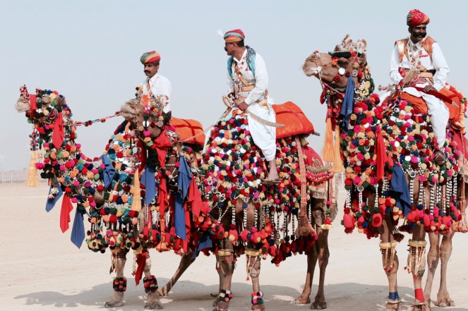 pushkar-camel-fair.jpg