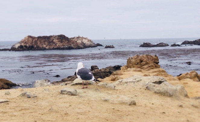 Wbm878OJRz6%5VirhfhgdQ_thumb_13c0